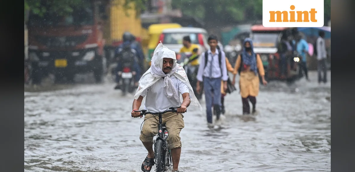 Monsoon rainfall expected to increase in eastern, central and northern India with forming depression