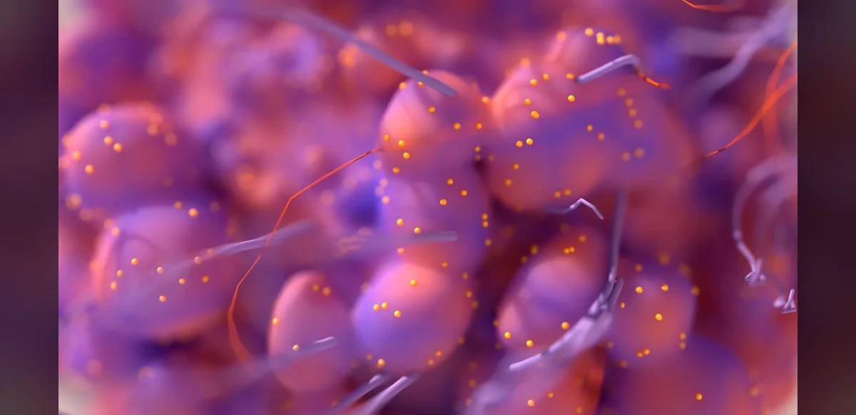 Research Links Gene Marker to Variable Outcomes in Lung Cancer Therapy