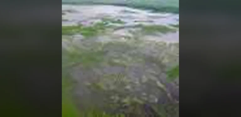 Pre-Columbian Groups in Colombia Built Vast Water Networks Through Local Cooperation