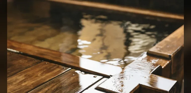 Earthquake in Kumamoto May Have Led to New Hot Spring in Local Eatery