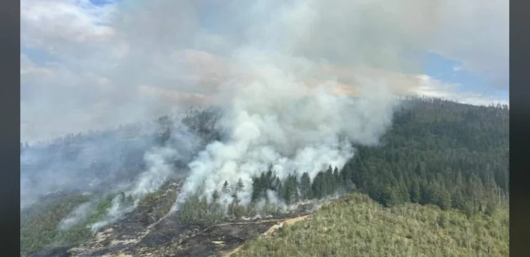 British Columbia Wildfires Persist With Nearly 30 New Incidents Reported