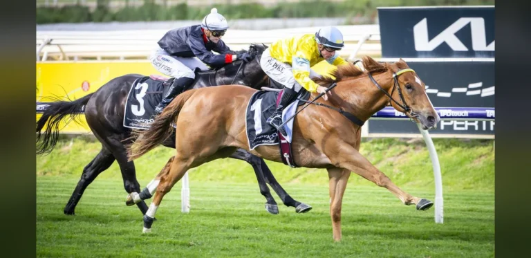 Western Australian Thoroughbred Begins Preparation for Major Interstate Racing Series
