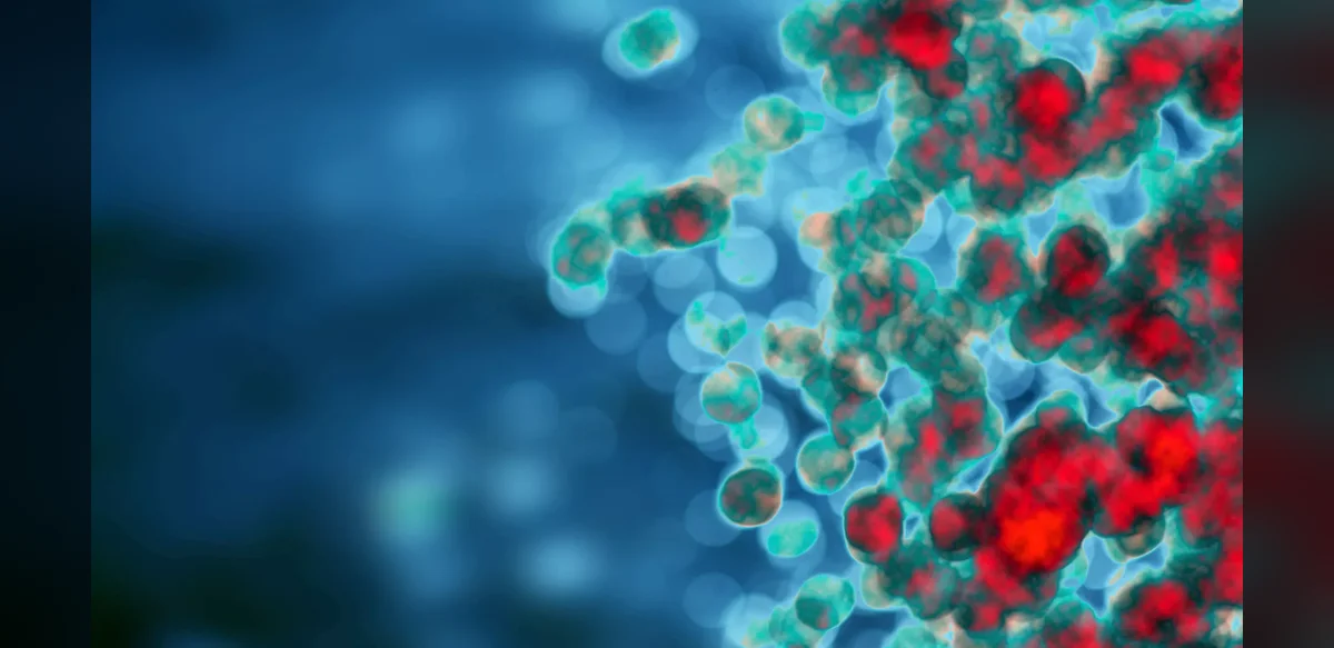 Advancing Treatments for Autoimmune Conditions Through Better Understanding of Regulatory T Cell Functions