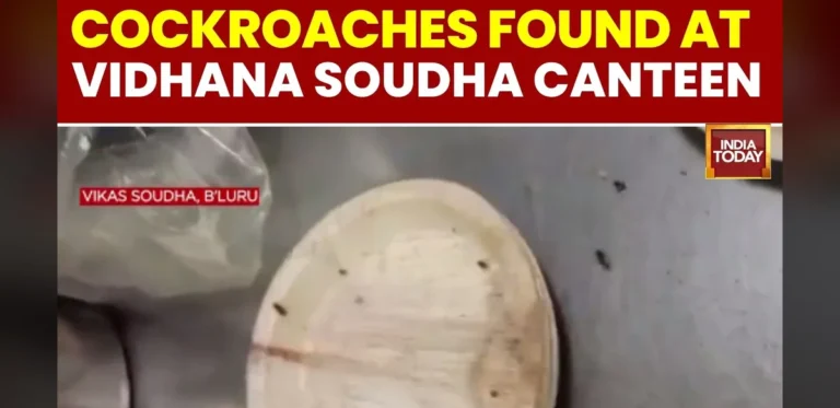 Health Officials Find Pests and Expired Items at Karnataka Government Sites