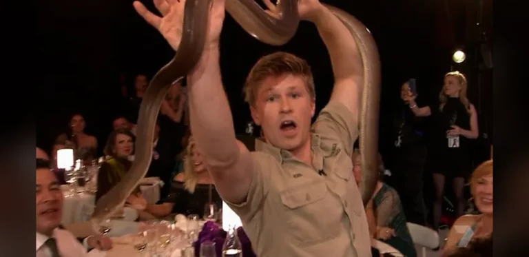 Wildlife Expert Presents Reptiles to Audience at Television Awards