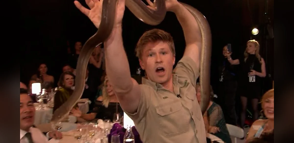 Wildlife Expert Presents Reptiles to Audience at Television Awards