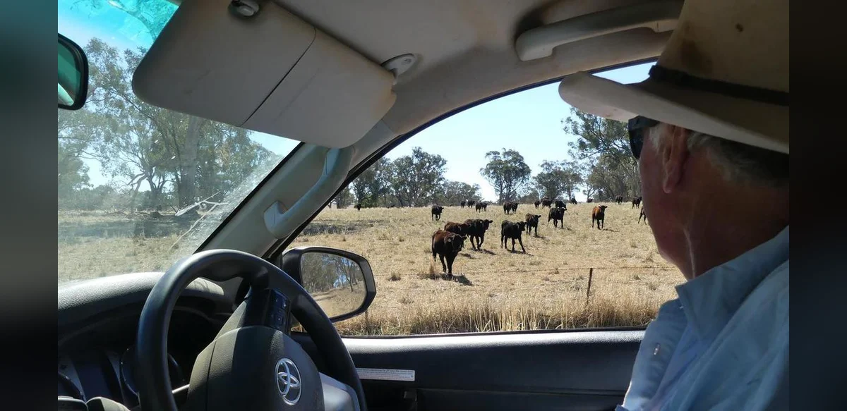 Labor Party Announces Initiative to Enhance Fuel Security Using Agricultural Waste
