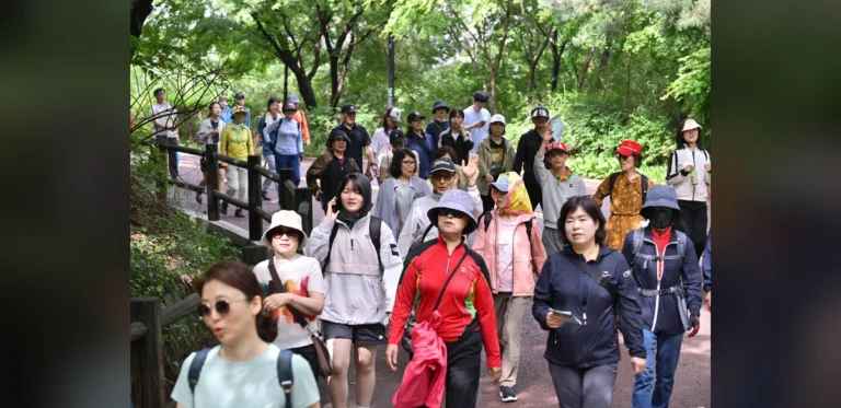 Mount Nam’s New Garden Provides Guided Walks Highlighting Seoul’s Tranquil Aspects