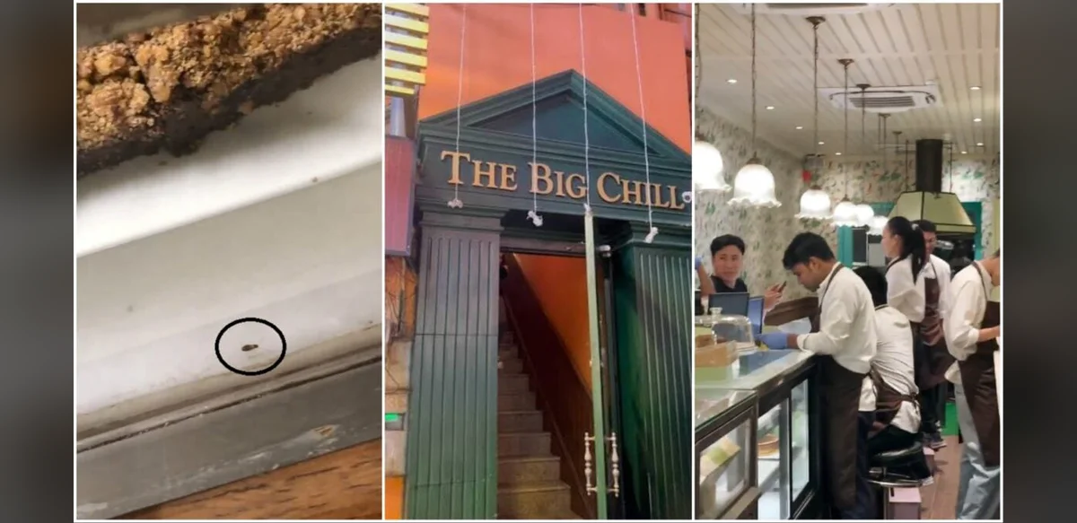 Delhi Cafe Faces Allegation of Insect Found in Cooling Unit