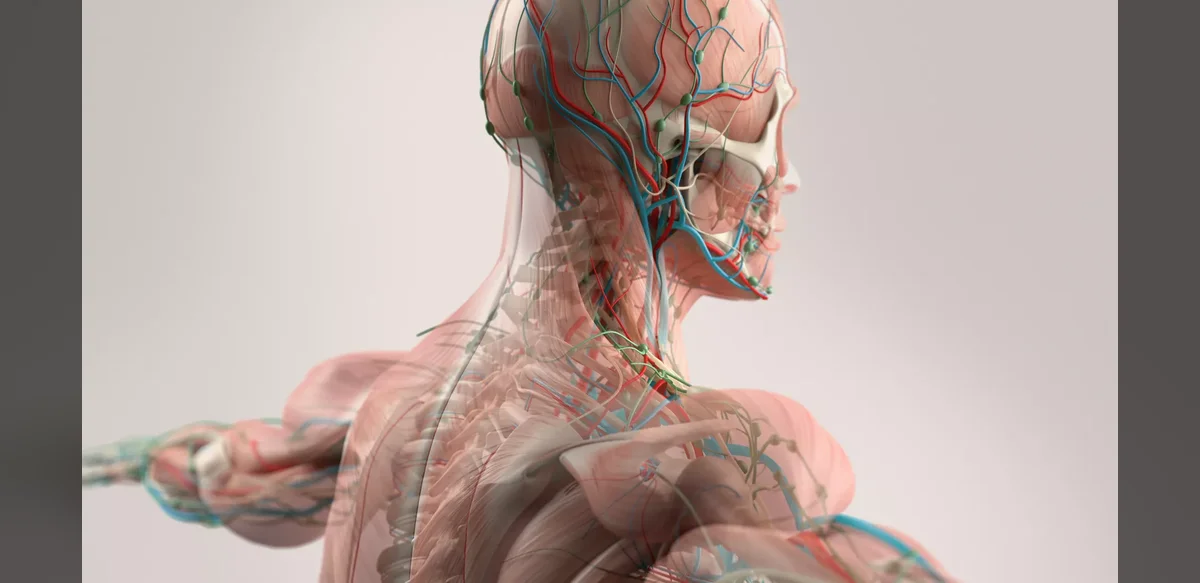 Research Examines Large Language Models for Patient Education on Neuromyelitis Optica Spectrum Disorder