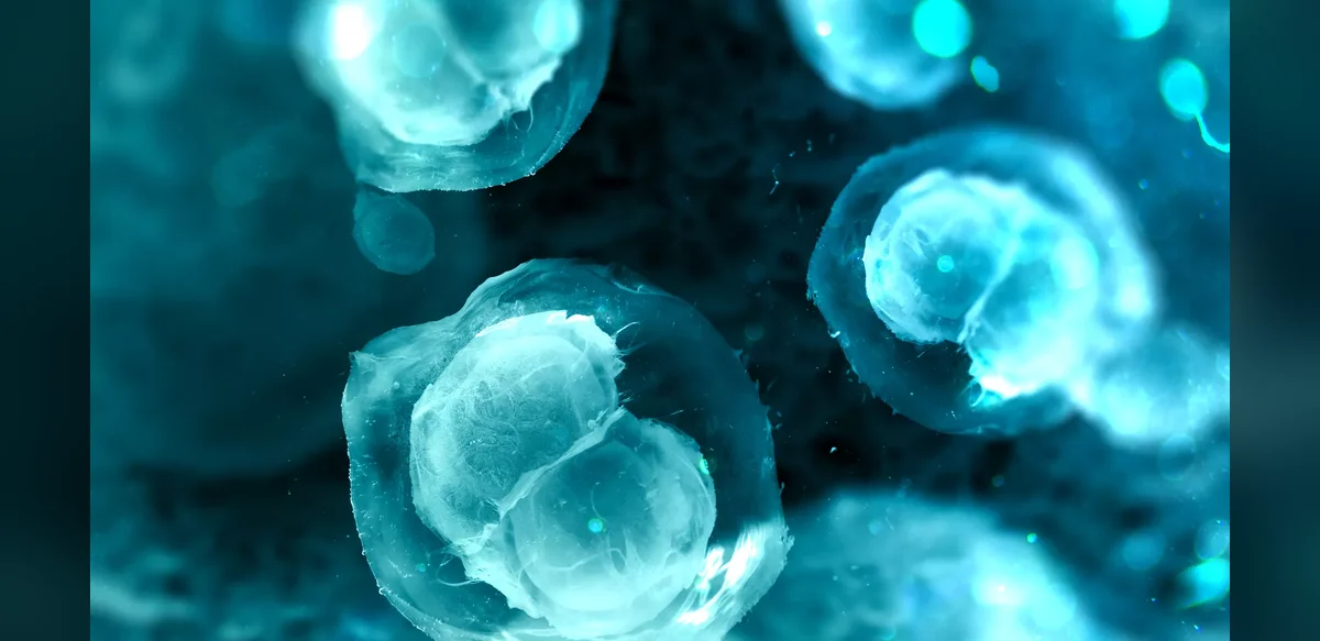 Advancing Cancer Vaccines Through Tumor Biology and Personalized Immune Targets