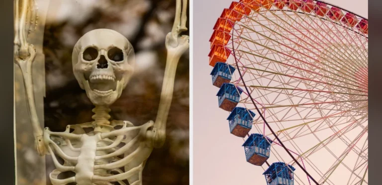 Seasonal Preferences: Summer Enjoyment or Halloween Atmosphere
