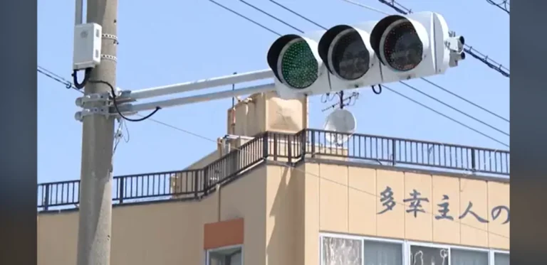 Annual Signal Change Supports Pedestrian Education in Remote Japanese Community