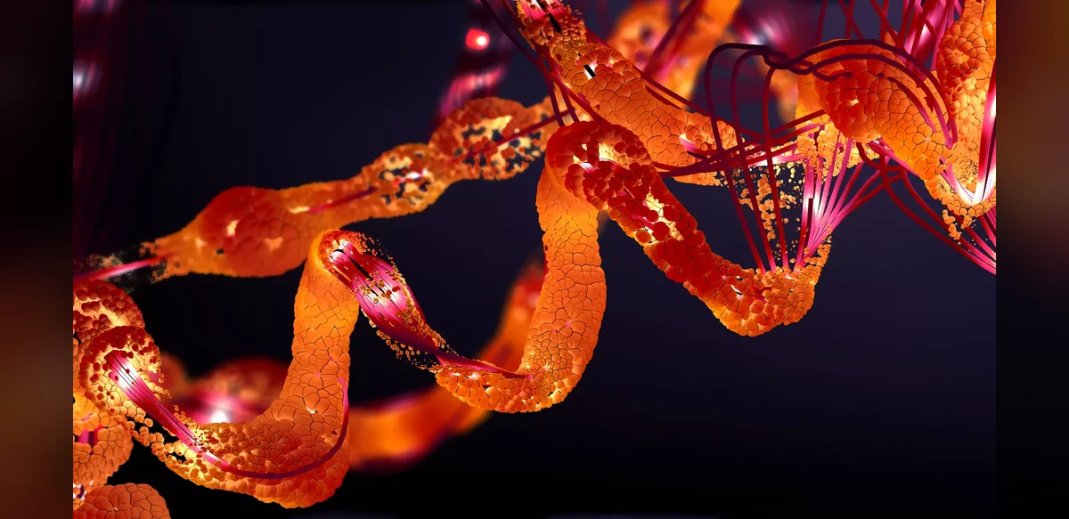 Study Explores Proteins Linked to Mitochondrial Health in Worm Model
