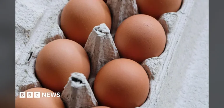 UK Salmonella Incident Results in Fatality and Widespread Illness