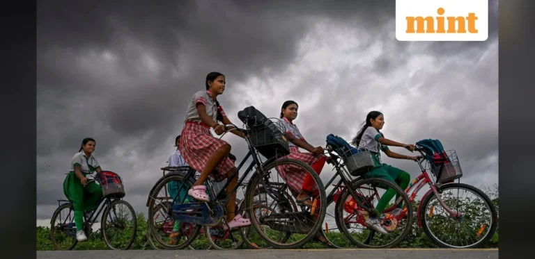Mint Data Team Profiles Highlight Focus on Indian Economic and Social Trends