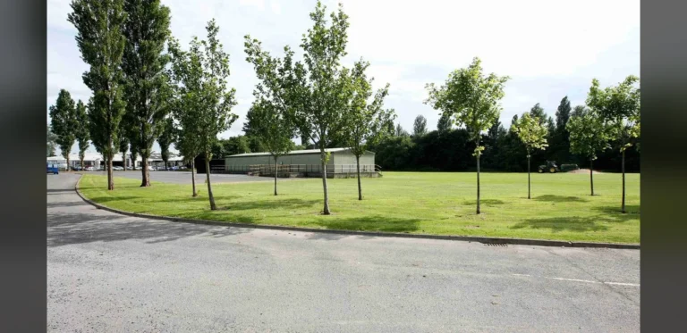 Belfast City Council Approves New Outdoor Cinema Venue