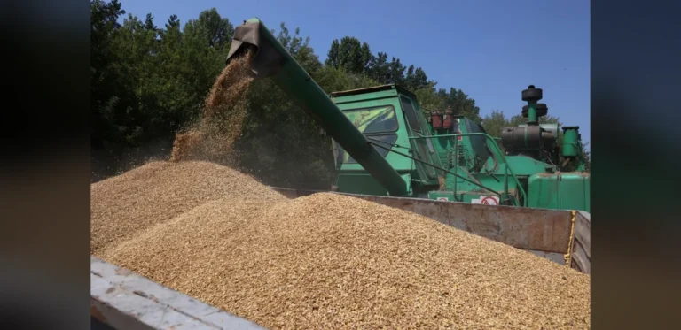 Poland Upholds Restriction on Ukrainian Grain Imports to Protect Local Producers