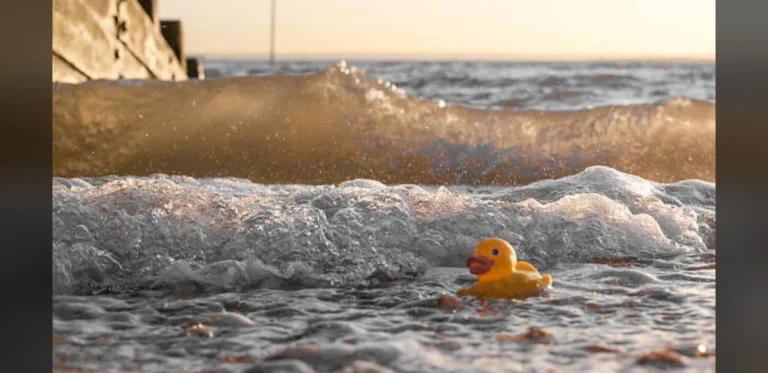 Thames River Recovers From ‘Biologically Dead’ Status in 1957 to Support Sharks and Seals