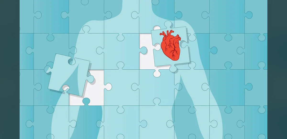 Review Finds AI Tools for Heart Disease Prediction Promising but Not Ready for Clinical Use