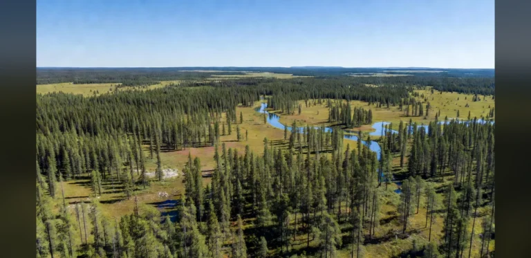 Tamarack Valley to Merge With Headwater Exploration in Over $7.24 Billion Deal