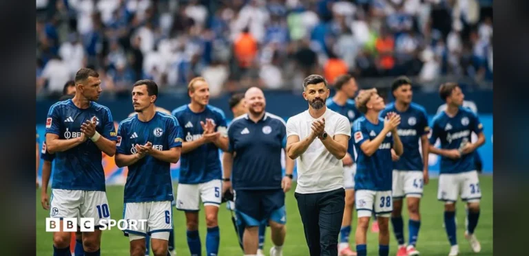 Schalke’s Return to the Bundesliga After Years of Struggle