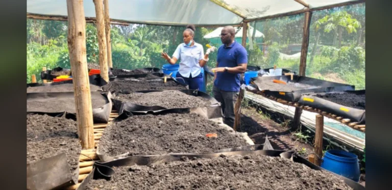 Kenyan Scientists Convert Human Waste into Fertilizer for Local Farmers