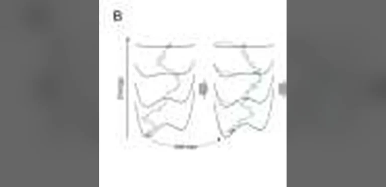 Advancing Protein Shape Prediction Beyond Current AI Capabilities