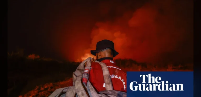 El Niño Intensifies Wildfires Across Indonesian Forests