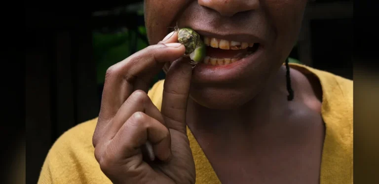 Ancient Teeth Reveal Clues to Longstanding Betel Nut Practice