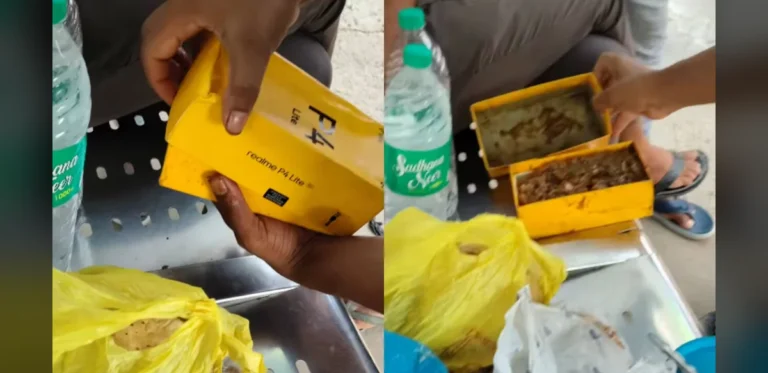Uttar Pradesh Resident Turns Mobile Phone Packaging Into Lunch Container, Sparking Online Amusement