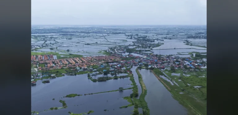 Philippines Maintains Adequate Rice Supplies Despite Ongoing Floods, Agriculture Official States
