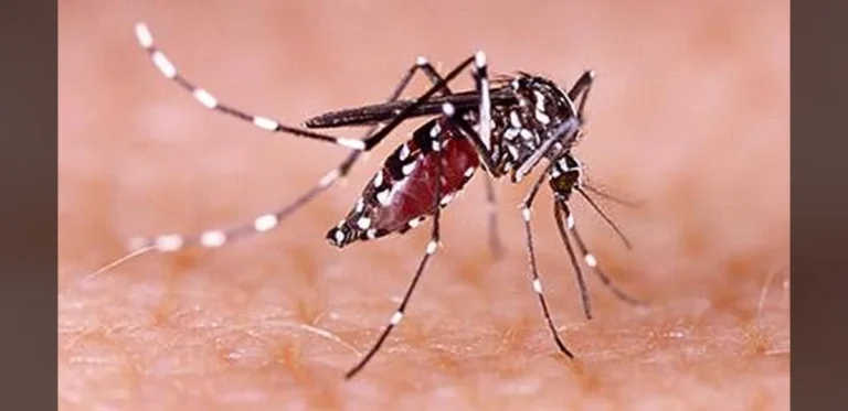 Chennai Hospitals Report Increase in Fever Cases Amid Seasonal Illnesses
