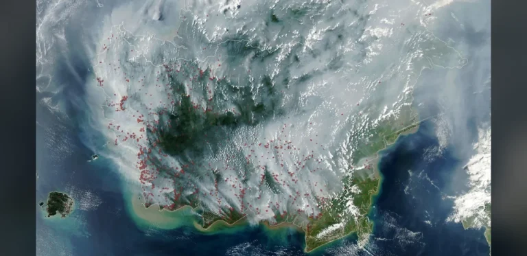 Indonesia Faces Early Surge in Underground Peat Fires