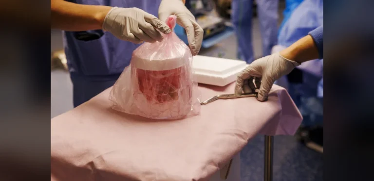 Pig kidney kept a man off dialysis for nine months in world first