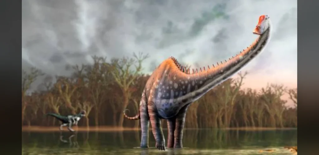 Fourteen tail vertebrae found in Spain replaces North America as the only Diplodocus site