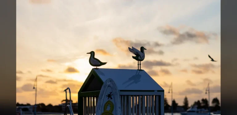 Rockingham Foreshore to Feature Castaways Sculpture Awards in Late 2026