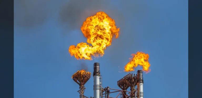 ‘Nanny state’ warning over High Court’s emissions decision