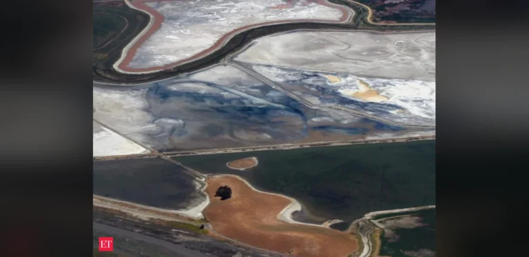 San Francisco Bay cut invasive cordgrass by nearly 98%; native Ridgway’s rails then expanded into 4 former salt ponds as restored marsh habitat returned
