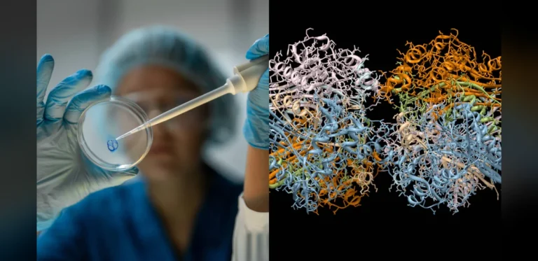 Scientists revive 160-million-year-old proteins to fight drug-resistant bacteria
