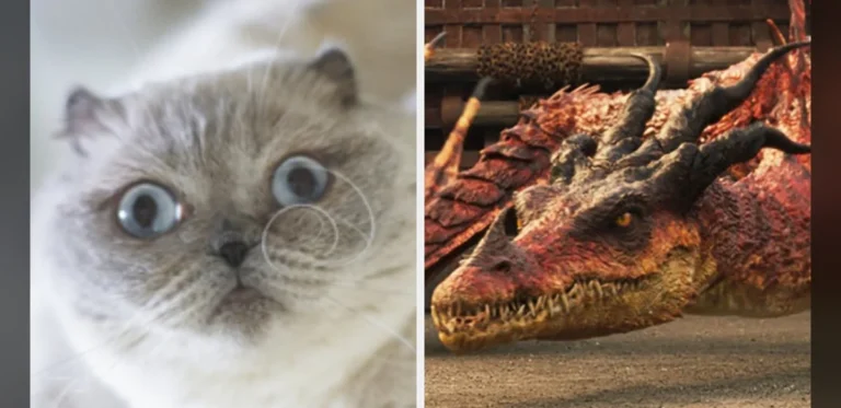 Exploring Feline Traits and Fantasy Dragon Connections in Popular Fiction