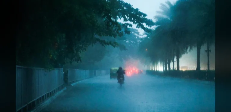 Heavy Rainfall Alert Issued Across Multiple Districts in Jharkhand Due to Cyclone Influence